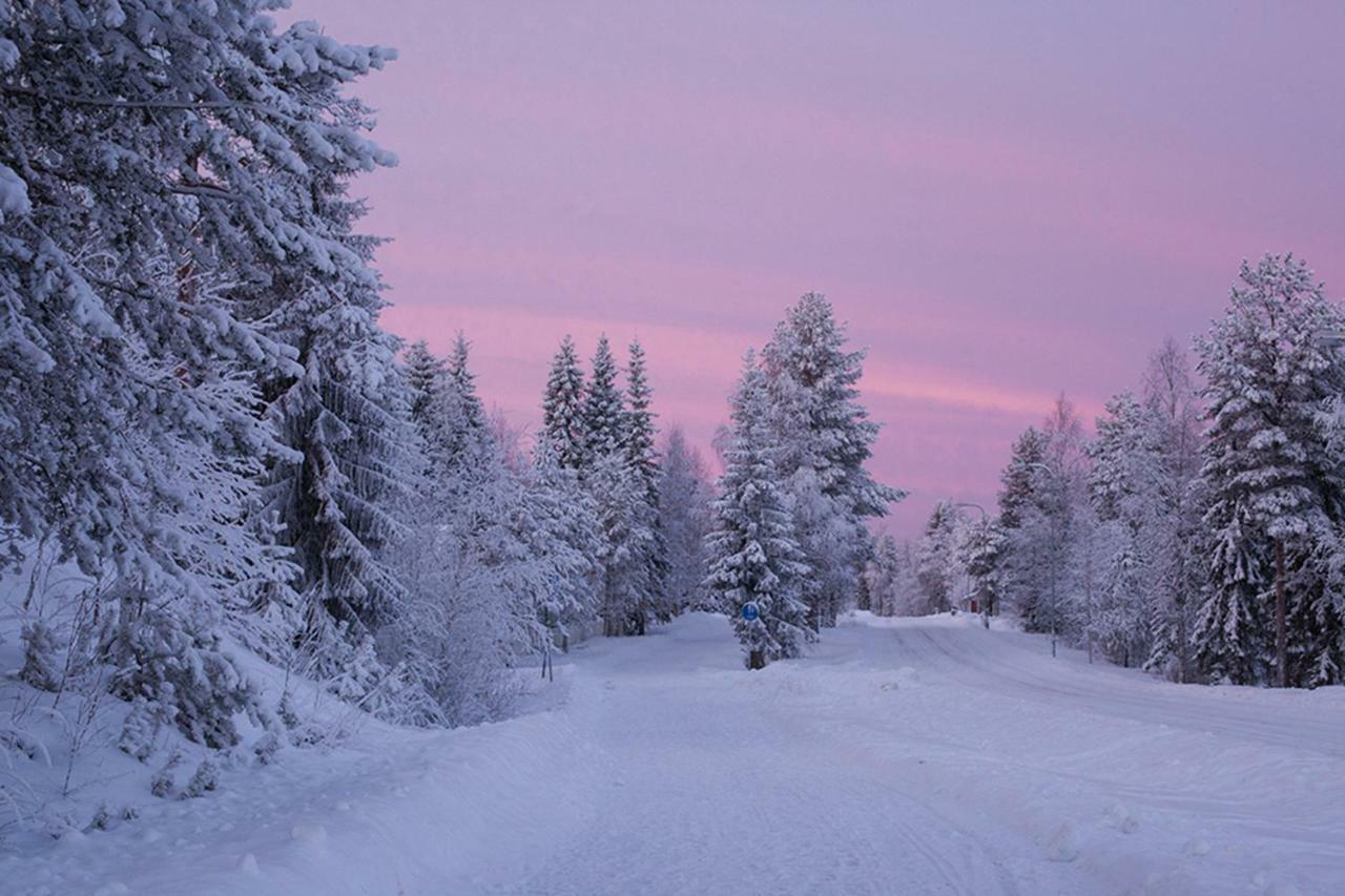 Villa Terra Ultima Rovaniemi Esterno foto