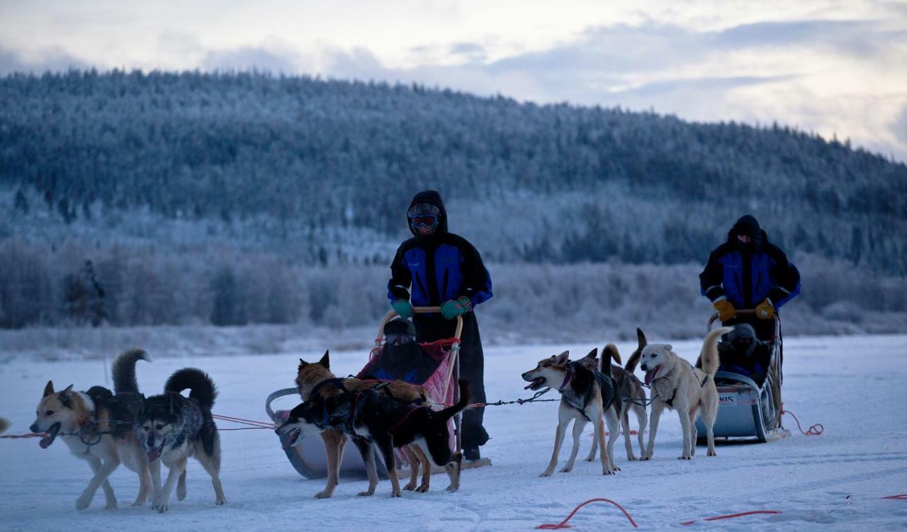 Villa Terra Ultima Rovaniemi Esterno foto
