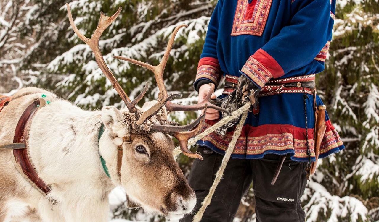 Villa Terra Ultima Rovaniemi Esterno foto