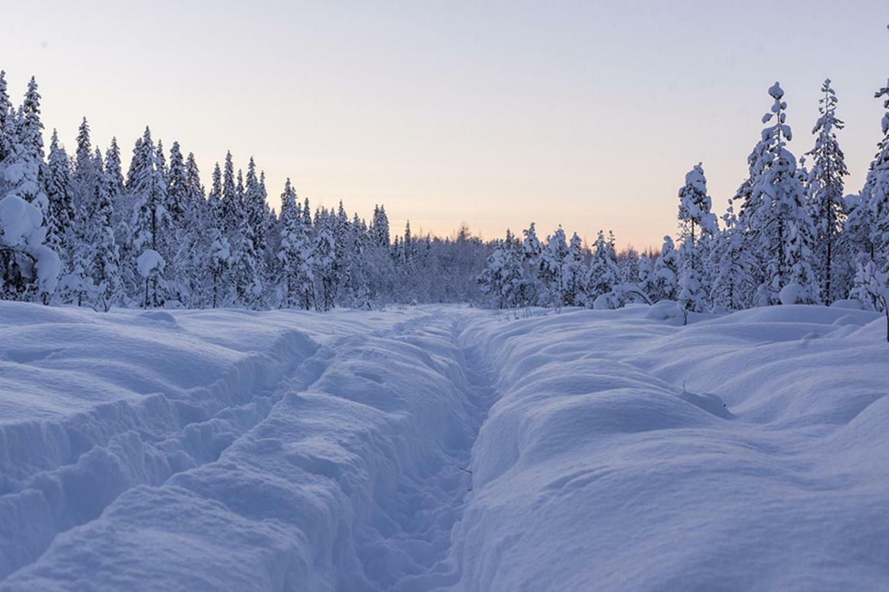Villa Terra Ultima Rovaniemi Esterno foto