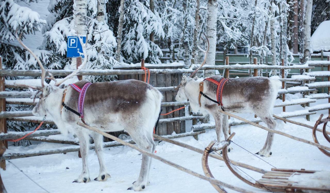Villa Terra Ultima Rovaniemi Esterno foto