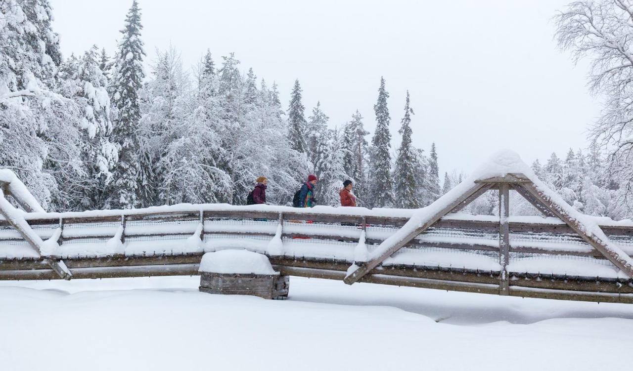 Villa Terra Ultima Rovaniemi Esterno foto