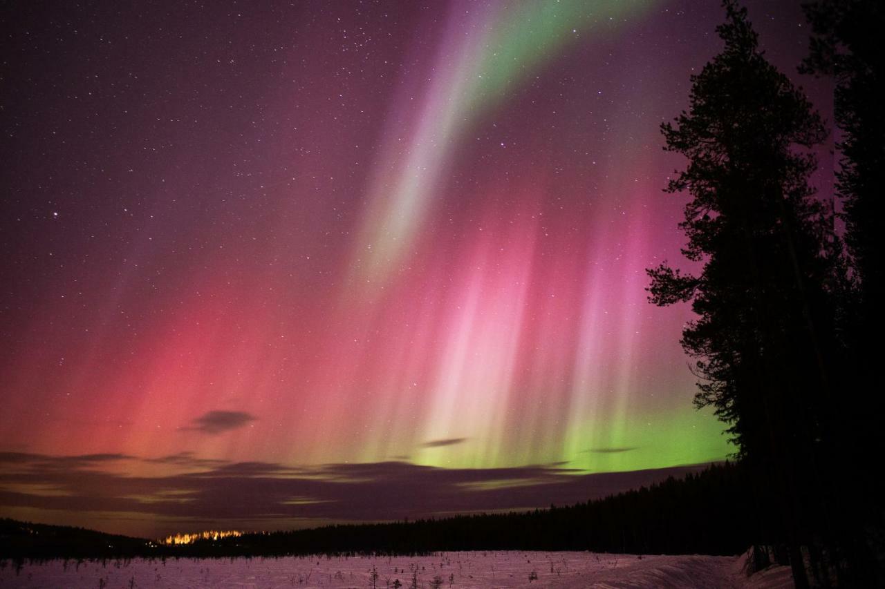 Villa Terra Ultima Rovaniemi Esterno foto